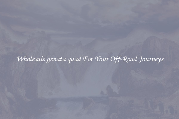 Wholesale genata quad For Your Off-Road Journeys