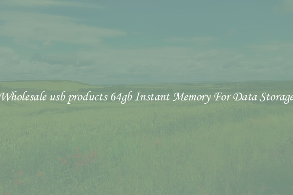 Wholesale usb products 64gb Instant Memory For Data Storage