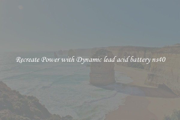 Recreate Power with Dynamic lead acid battery ns40