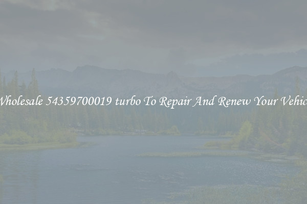Wholesale 54359700019 turbo To Repair And Renew Your Vehicle