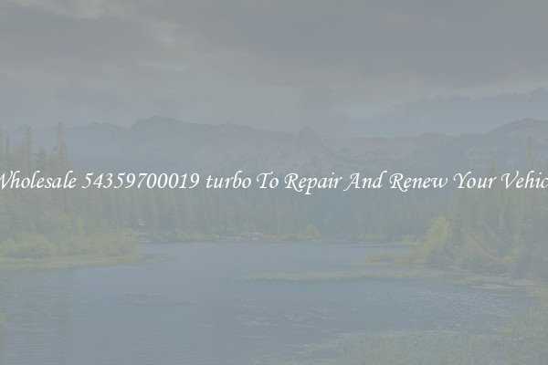 Wholesale 54359700019 turbo To Repair And Renew Your Vehicle
