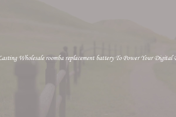 Long Lasting Wholesale roomba replacement battery To Power Your Digital Devices