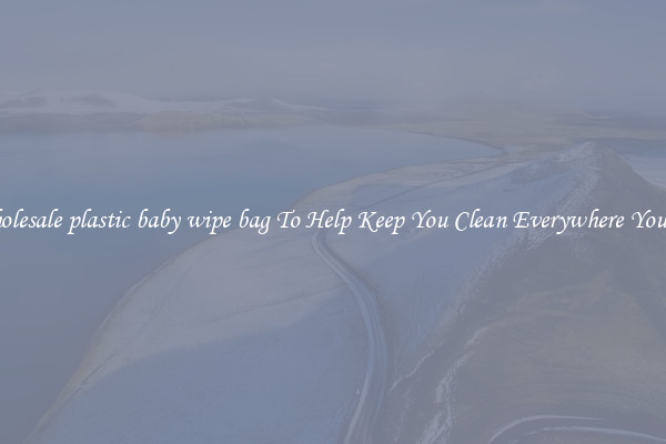 Wholesale plastic baby wipe bag To Help Keep You Clean Everywhere You Go