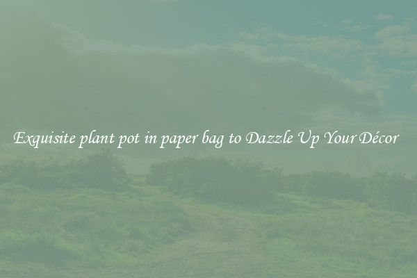 Exquisite plant pot in paper bag to Dazzle Up Your Décor  