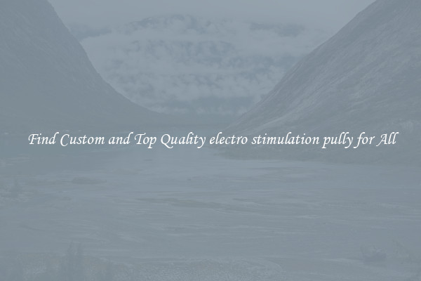 Find Custom and Top Quality electro stimulation pully for All
