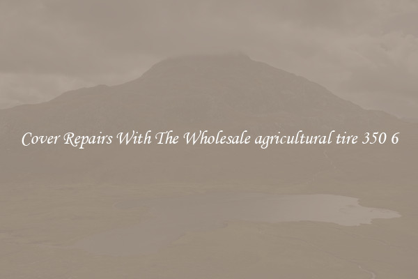  Cover Repairs With The Wholesale agricultural tire 350 6 