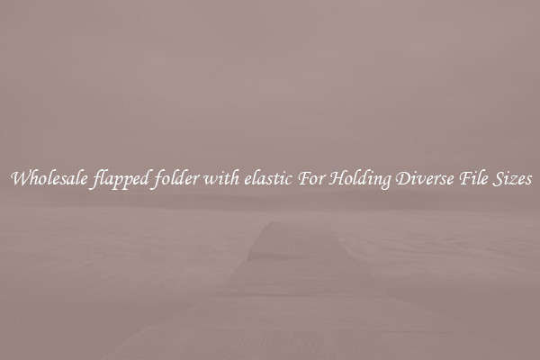 Wholesale flapped folder with elastic For Holding Diverse File Sizes
