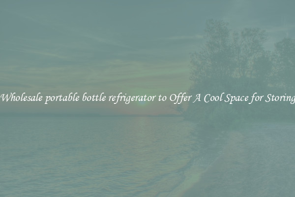 Wholesale portable bottle refrigerator to Offer A Cool Space for Storing