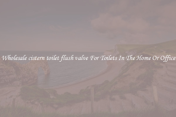 Wholesale cistern toilet flush valve For Toilets In The Home Or Office