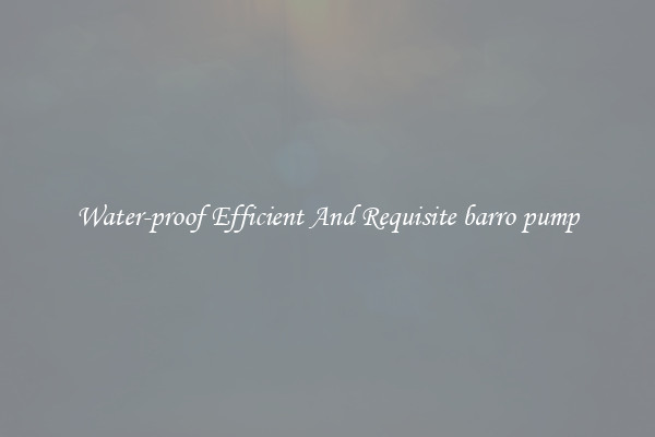 Water-proof Efficient And Requisite barro pump