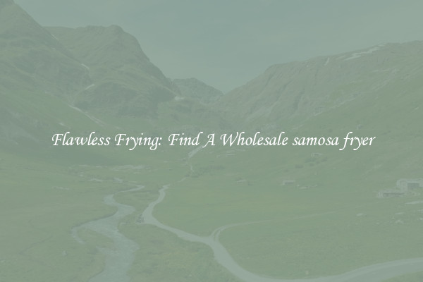 Flawless Frying: Find A Wholesale samosa fryer