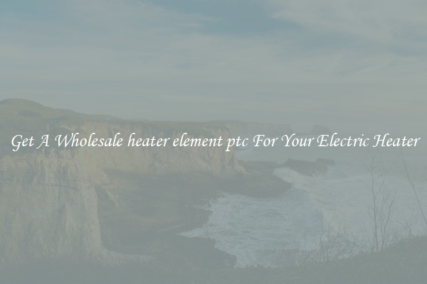 Get A Wholesale heater element ptc For Your Electric Heater