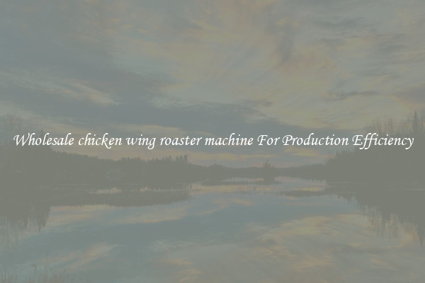 Wholesale chicken wing roaster machine For Production Efficiency