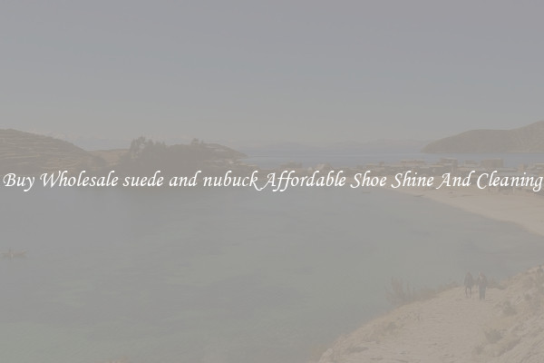 Buy Wholesale suede and nubuck Affordable Shoe Shine And Cleaning