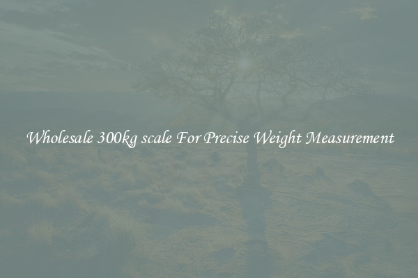 Wholesale 300kg scale For Precise Weight Measurement