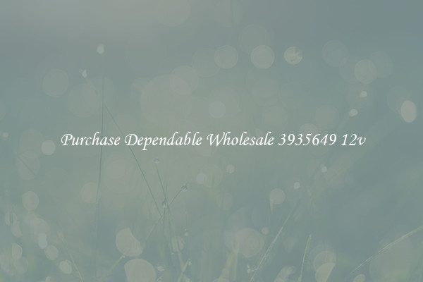 Purchase Dependable Wholesale 3935649 12v
