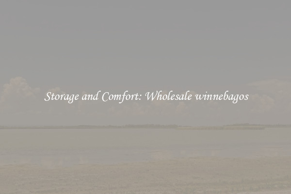 Storage and Comfort: Wholesale winnebagos