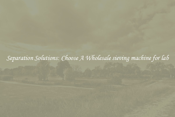 Separation Solutions: Choose A Wholesale sieving machine for lab