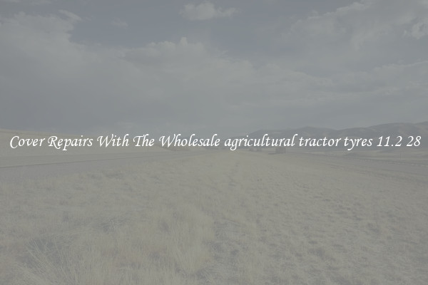  Cover Repairs With The Wholesale agricultural tractor tyres 11.2 28 