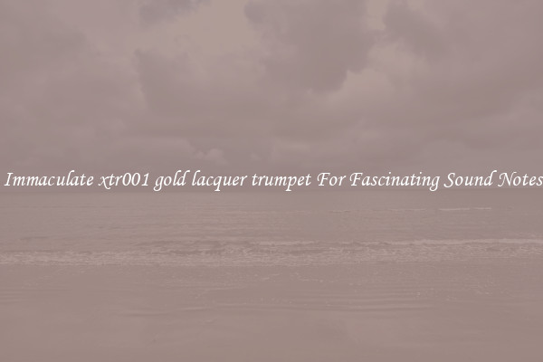 Immaculate xtr001 gold lacquer trumpet For Fascinating Sound Notes
