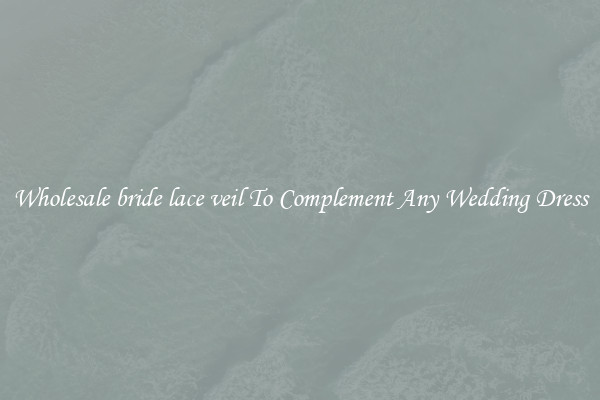 Wholesale bride lace veil To Complement Any Wedding Dress