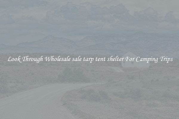 Look Through Wholesale sale tarp tent shelter For Camping Trips