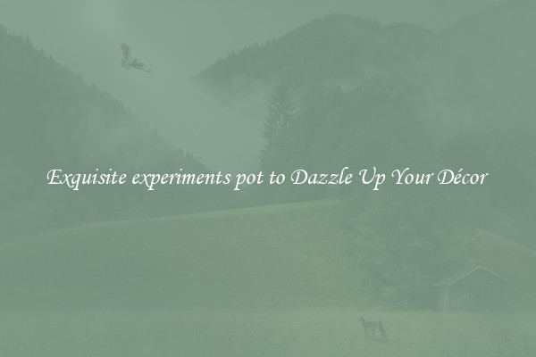 Exquisite experiments pot to Dazzle Up Your Décor 