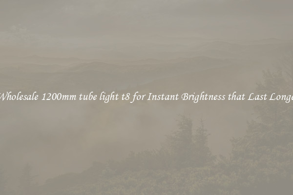 Wholesale 1200mm tube light t8 for Instant Brightness that Last Longer