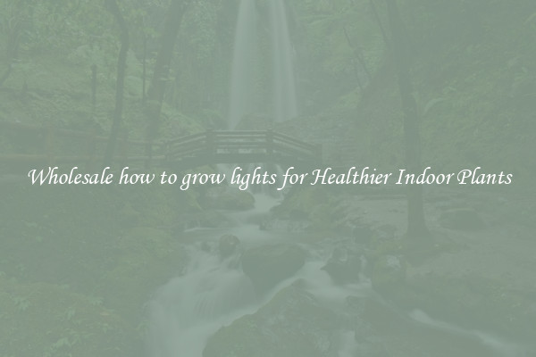 Wholesale how to grow lights for Healthier Indoor Plants