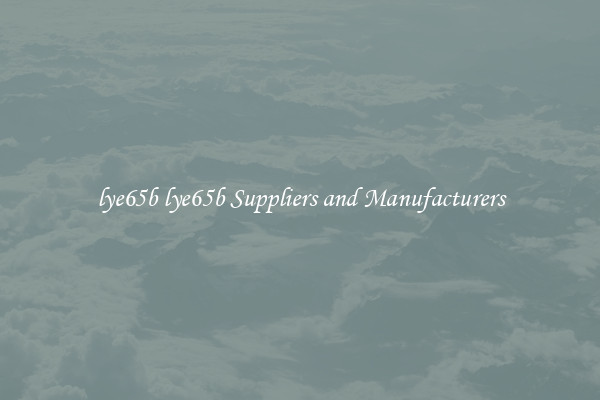 lye65b lye65b Suppliers and Manufacturers