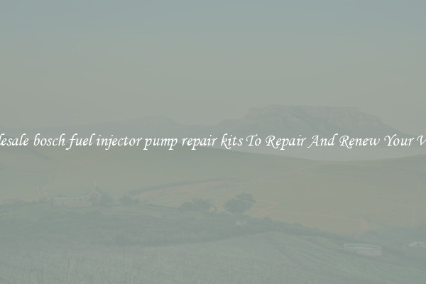 Wholesale bosch fuel injector pump repair kits To Repair And Renew Your Vehicle