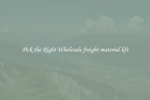 Pick the Right Wholesale freight material lift