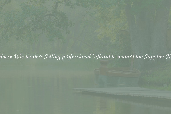 Chinese Wholesalers Selling professional inflatable water blob Supplies Now