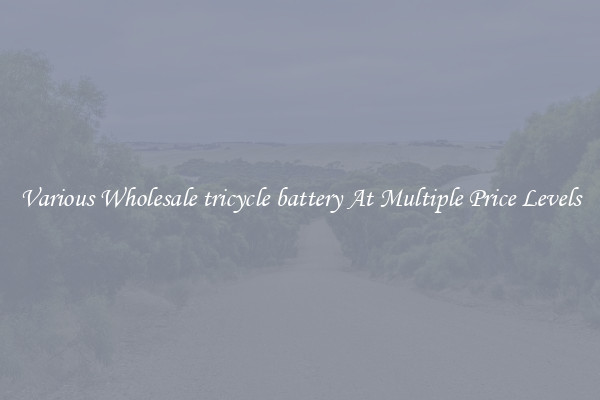 Various Wholesale tricycle battery At Multiple Price Levels