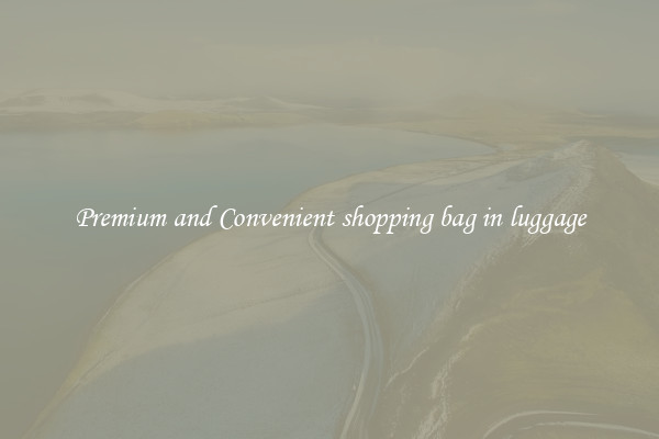Premium and Convenient shopping bag in luggage