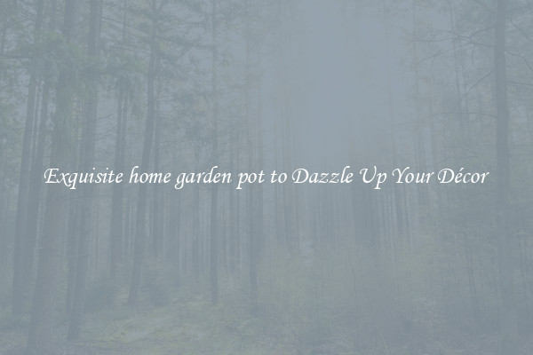 Exquisite home garden pot to Dazzle Up Your Décor 