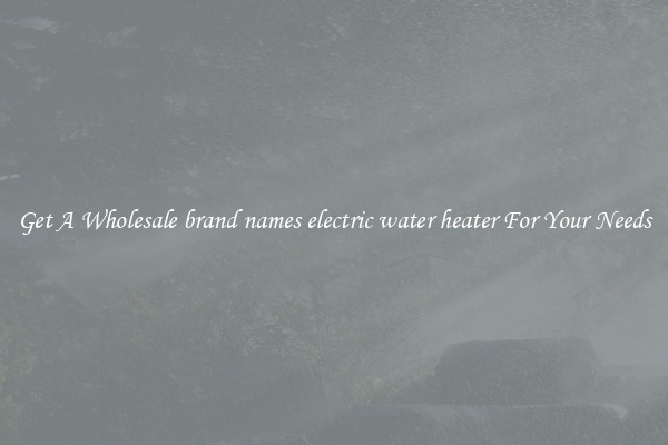 Get A Wholesale brand names electric water heater For Your Needs